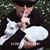 Terry Green's profile image