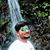 Suhas Suvi's profile image