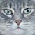 Robin Flaherty's profile image