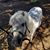 Bambi Flynn's profile image