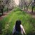 Katie Finfrock's profile image
