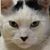 Earl Jones's profile image