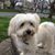 Camacho Flores's profile image