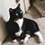 Kathleen Austin's profile image