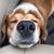 Shawna Crowson's profile image