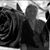 Mayra Lucero Varela's profile image