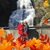 Joan K Hess's profile image