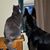 Herman N Lily's profile image