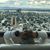 Yolanda SantaMaria's profile image