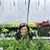 Ruth Li-Whittington's profile image