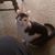 Catherine Casperson's profile image