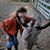 Rebecca Larivee's profile image