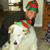 Nick Meinzer's profile image