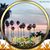 Debbie Sanders's profile image