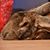 Dawn Huckins's profile image
