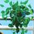 Cely Hdz's profile image