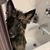 Tiffany Bublitz's profile image