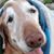 Fa'tima Miller's profile image