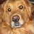Marianne Kane Carroll's profile image