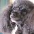 John Bradshaw's profile image