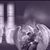 Kimberly Rae Guseman's profile image