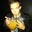 Josh Campoverde's profile image