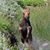 Vickie King's profile image