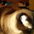 Sandra Blevins Darnell's profile image