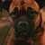 Colleen D Benner's profile image