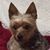Vicki Tackelson Muse's profile image