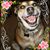 Deborah Wyckoff's profile image