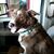Michelle Elsner's profile image