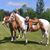 Jennifer McCaherty's profile image
