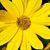 Joanne Blasetti's profile image