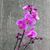 Jennifer Young's profile image