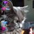 Colleen Twiss's profile image