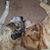 Stephen J Fogel's profile image