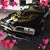 Lauren Sarno Dattolo's profile image