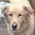 Scott Clayton's profile image