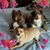 Donene Gadsden's profile image