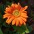 Missy Cauthen Robinson's profile image