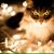 Lisa Beck-Smith's profile image