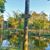 Jennifer Dorris's profile image