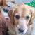 Cathie Stamile's profile image