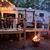 Lori Morasse's profile image