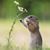 Sonia Riggs's profile image