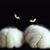 Kathy Eland's profile image