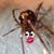 David McGinnis's profile image