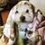 Paula Tyre's profile image