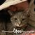 Shanna Yvonne Parker's profile image